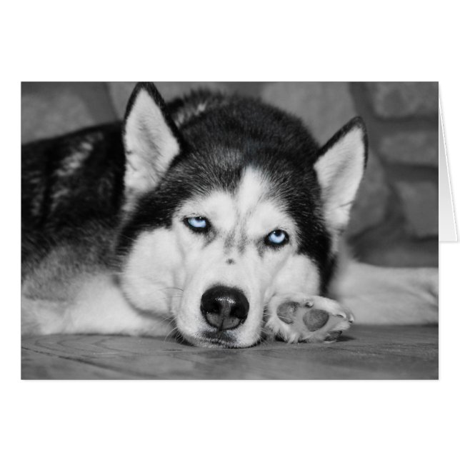 Laat me slapen alsjeblieft (Voorkant Horizontaal)