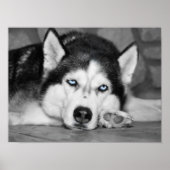 Laat me slapen alsjeblieft poster (Voorkant)