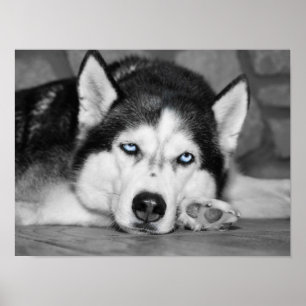 Laat me slapen alsjeblieft poster