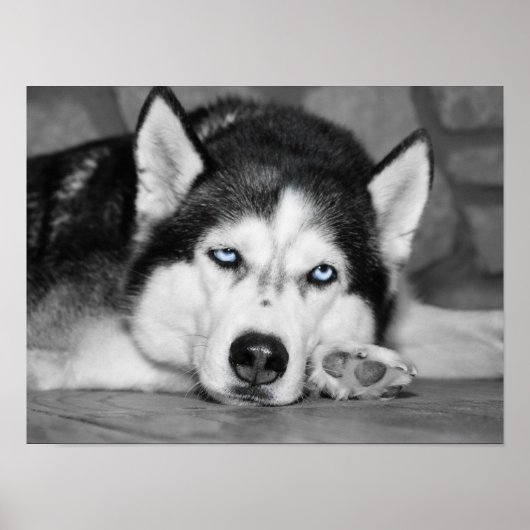 Laat me slapen alsjeblieft poster (Voorkant)