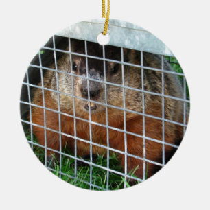 Laat me uit ~ sierlijk keramisch ornament