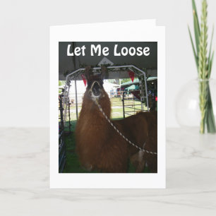 LAAT ME VERLIEZEN OM TE ZEGGEN: HAPPY BIRTHDAY KAART