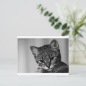 Laat me zien... (skeptische kat) briefkaart (Staand voorkant)