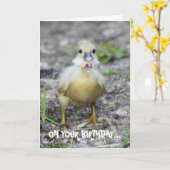 Laat meer los dan je kan kauwen kaart (Gele Bloem)