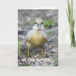 Laat meer los dan je kan kauwen kaart