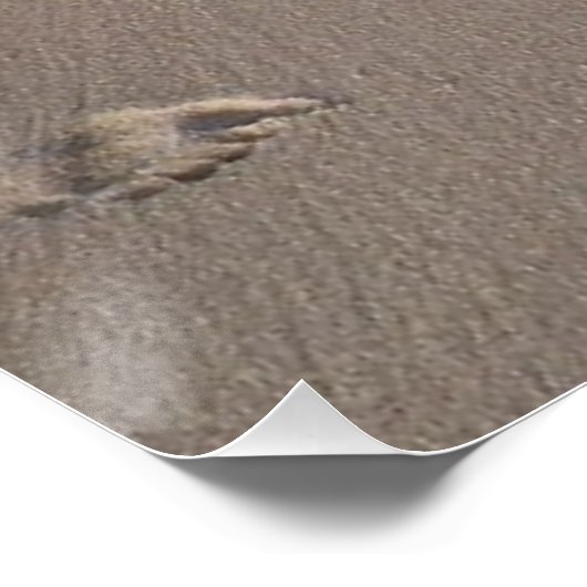 'Laat mensen poster zijn' (Hoek)