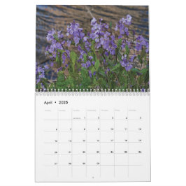 Laat niemand anders kiezen hoe je 2025 leeft kalender