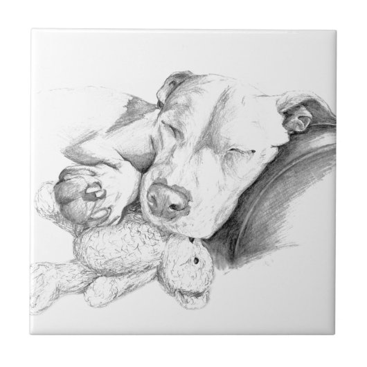 Laat slapende honden los tegeltje (Voorkant)