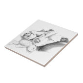 Laat slapende honden los tegeltje (Zijkant)