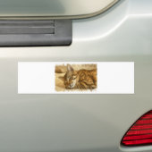 Laat slapende katten likken potloodschets bumpersticker (Op auto)
