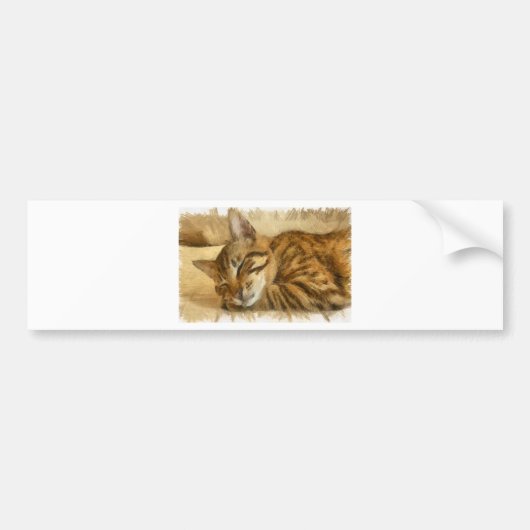 Laat slapende katten likken potloodschets bumpersticker (Voorkant)