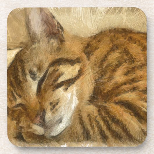 Laat slapende katten likken potloodschets onderzetter (Voorkant)