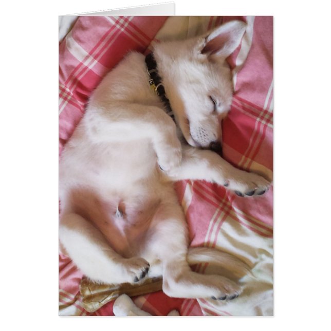 Laat slopende Honden Lie Card los (Voorkant)