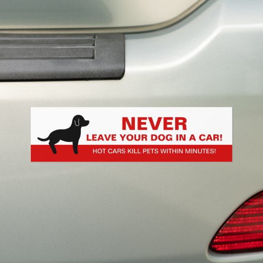 Laat uw hond nooit in een auto met een dog Silhoue Bumpersticker (Op auto)