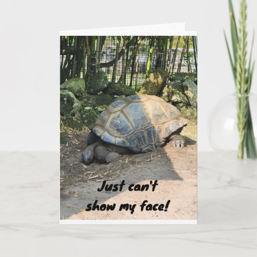 *LAAT* VERJAARDAG VAN LUIE SCHILDPAD KAART (Voorkant)