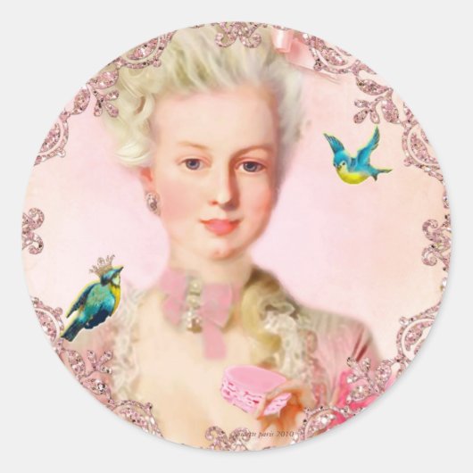 Laat ze macarons zeehonden eten van Paulette Paris Ronde Sticker (Voorkant)