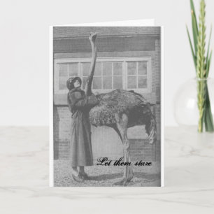 Laat ze staren feestdagen kaart