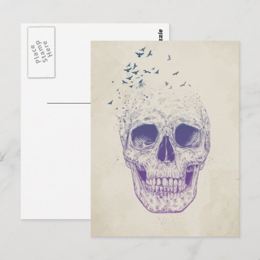 Laat ze vliegen briefkaart (Voorkant / Achterkant)