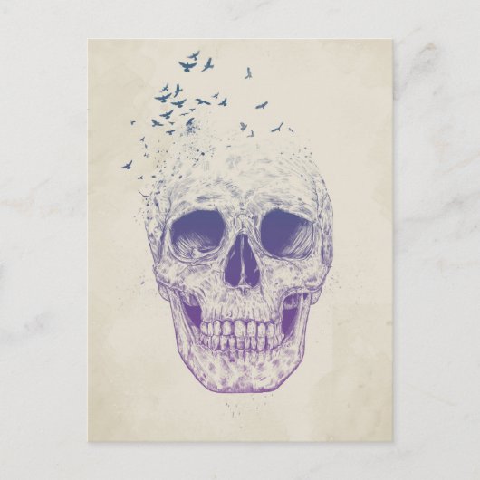 Laat ze vliegen briefkaart (Voorkant)