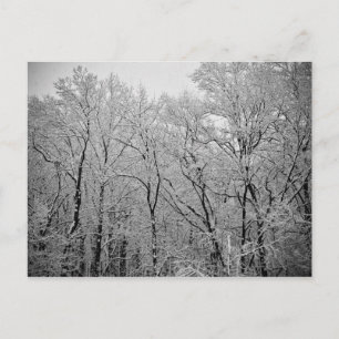 Laatste adem van de winter briefkaart