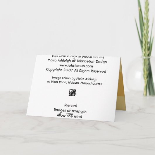 Laatste Blad Kaart (Achterkant)