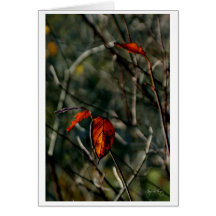 Laatste Dance van herfst