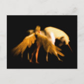 Laatste Eenhoorn Briefkaart (Voorkant)