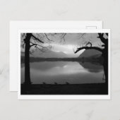 Laatste Licht bij Loweswater: District van het mee Briefkaart (Voorkant / Achterkant)