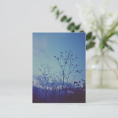 Laatste licht briefkaart (Staand voorkant)