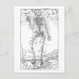 Laatste Nerve - Halloween Skelet Briefkaart