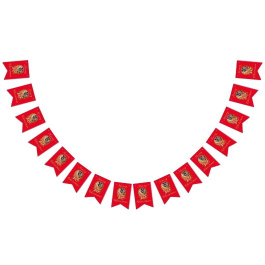 Laatste pakket vlaggetjes (Alle)