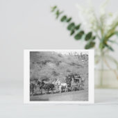 Laatste reis van de "Deadwood Coach" foto Briefkaart (Staand voorkant)