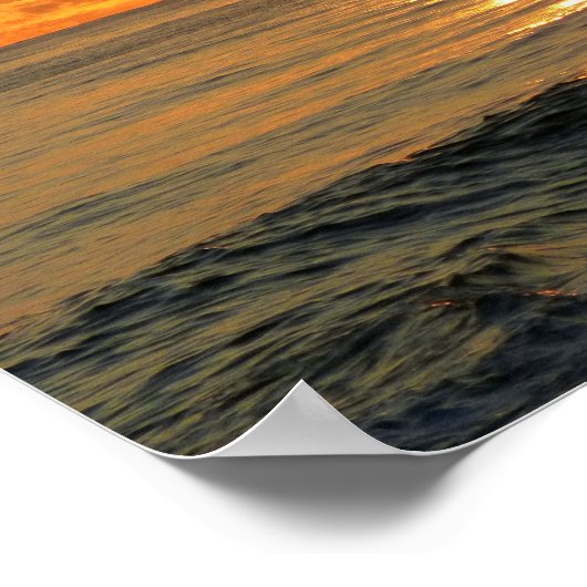 Laatste Sandpiper Poster (Hoek)