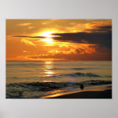 Laatste Sandpiper Poster (Voorkant)