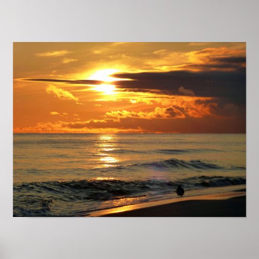 Laatste Sandpiper Poster (Voorkant)