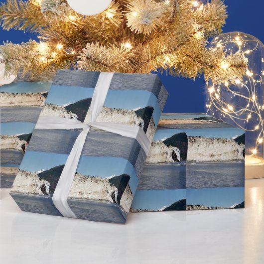 Laatste sneeuw cadeaupapier (Feestdagen)