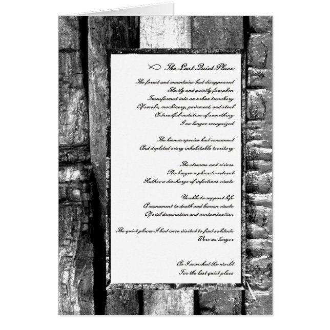 Laatste stille plaats (Voorkant)