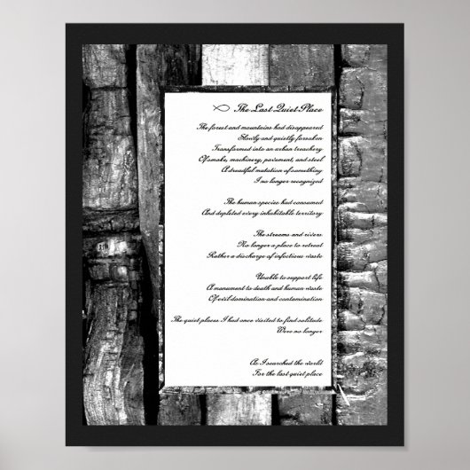 Laatste stille plaats poster (Voorkant)