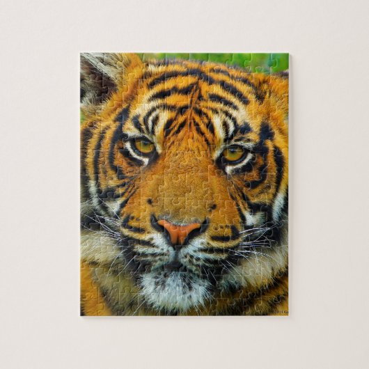 Laatste TIger Legpuzzel (Verticaal)