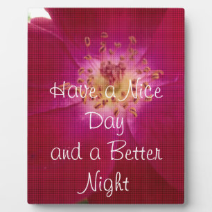 Laatste Valentijnsdag gecontroleerd Roos Fotoplaat