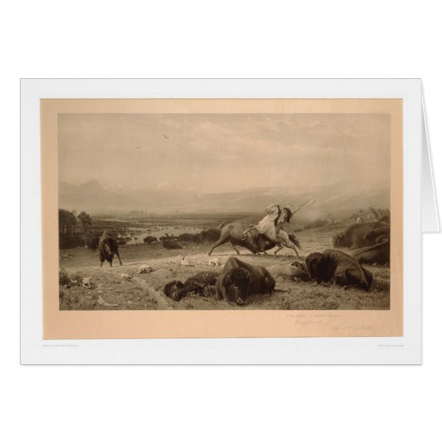 Laatste van de Buffalo Bierstadt (0137A) - Terugge (Voorkant Horizontaal)