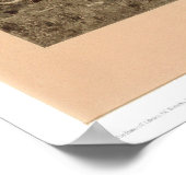 Laatste van de Buffalo Bierstadt (0137A) - Terugge Poster (Hoek)