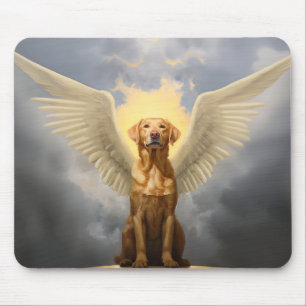 Lab Angel Muismat