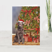 Lab - Chocolade Waterverf onder de kerstboom Kaart (Voorkant)