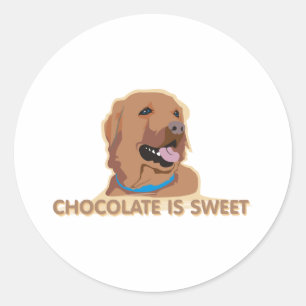 Lab-Chocolate-is-Sweet-Chocolate Labrador-Shirt Ronde Sticker