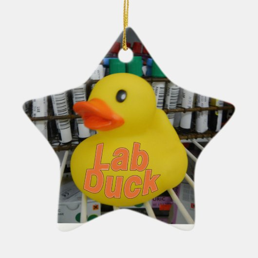 LAB DUCK CHRISTMAS ORNAMENT (Voorkant)