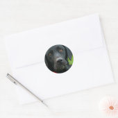 Lab Grass voor Lunch Black Lab Sticker (Envelop)