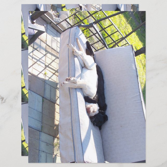 Lab Groep Slapen Scrapbook (Voorkant / Achterkant)