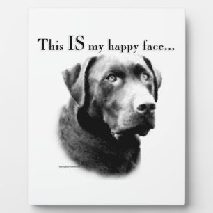 Lab Happy Face Fotoplaat