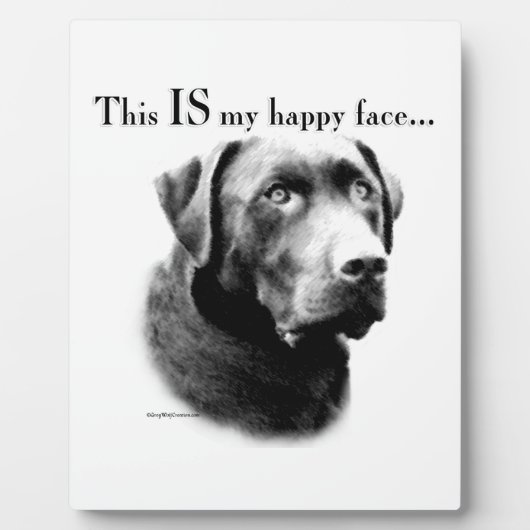 Lab Happy Face Fotoplaat (Voorkant)